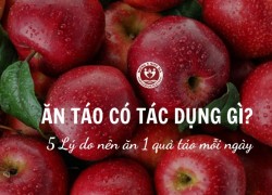 Ăn táo có tác dụng gì? 5 Lý do nên ăn 1 quả táo mỗi ngày